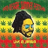 1993 Reggae Summer Festival Live In Jamaica