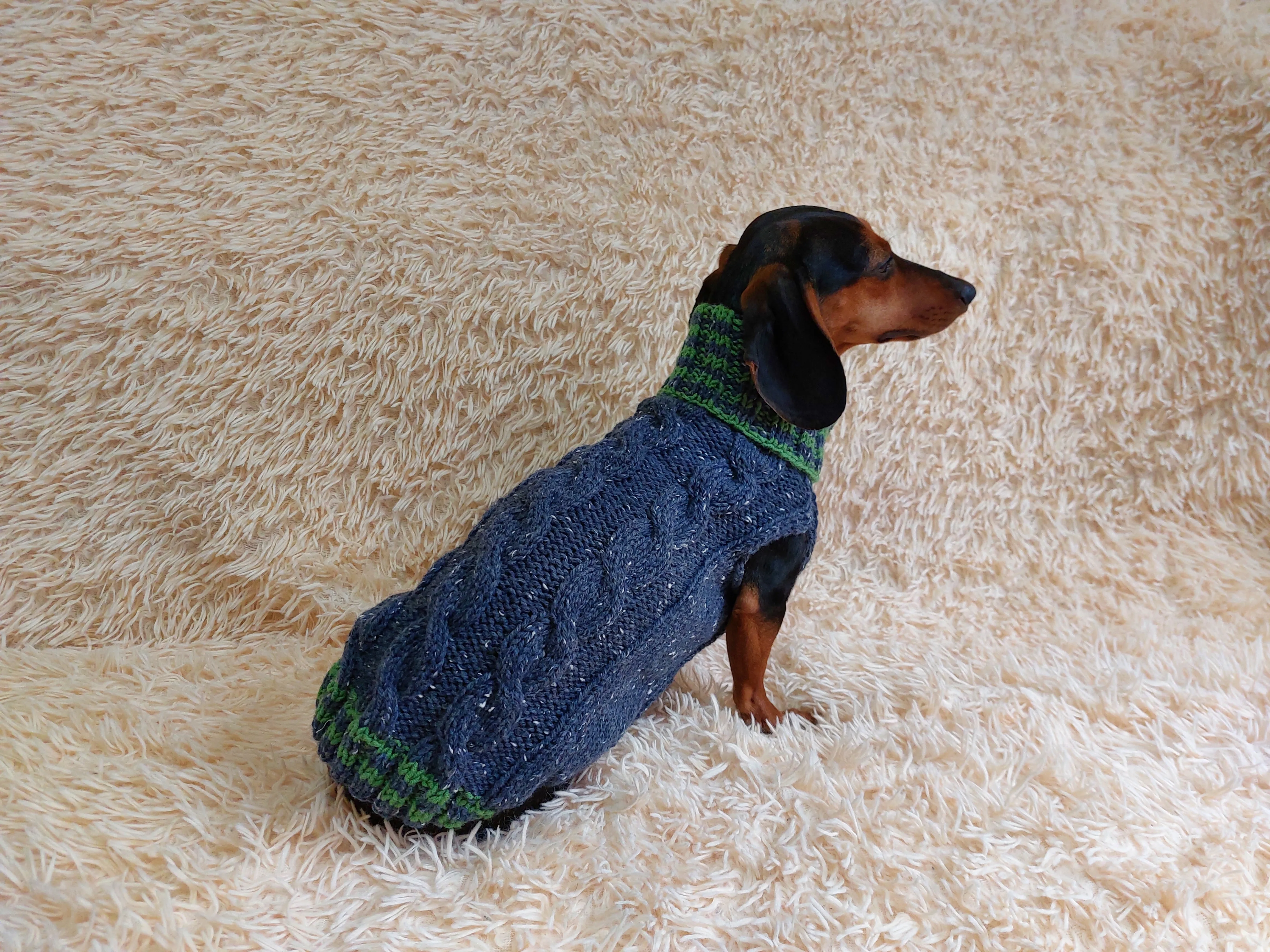 Alpaca wool pet clothes jumper - warm sweater for dog - warm clothes sweater for dachshund