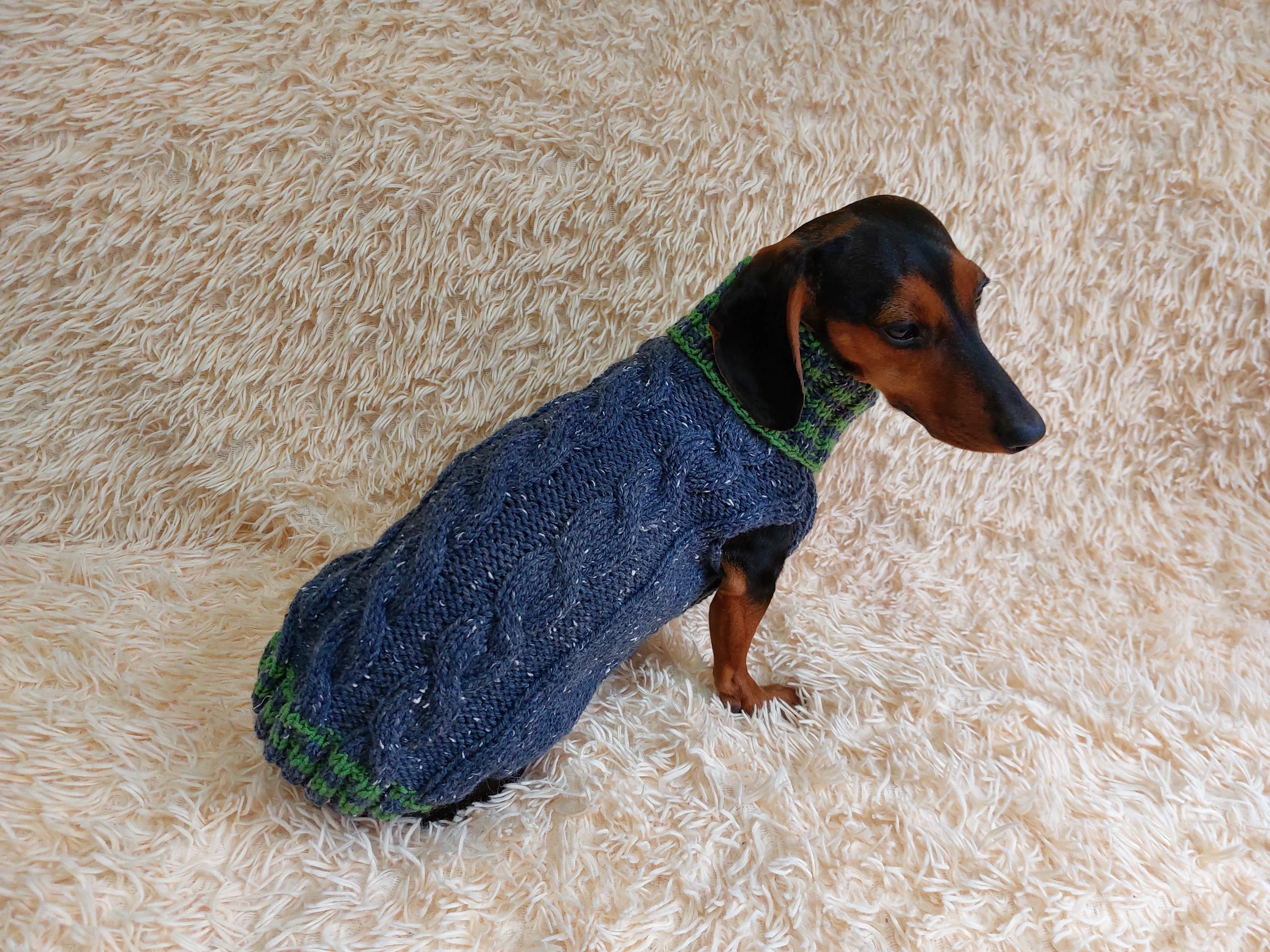 Alpaca wool pet clothes jumper - warm sweater for dog - warm clothes sweater for dachshund