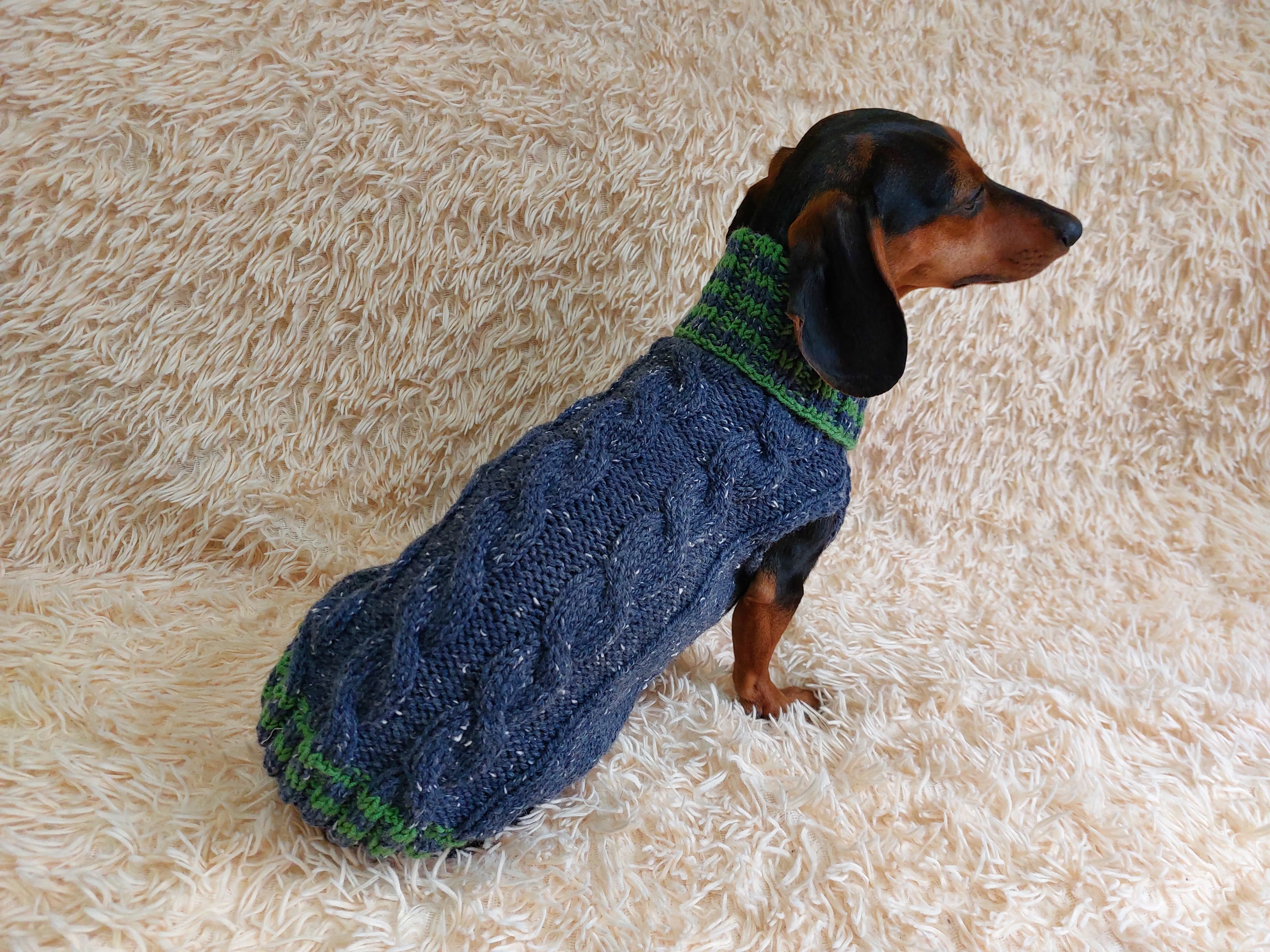 Alpaca wool pet clothes jumper - warm sweater for dog - warm clothes sweater for dachshund