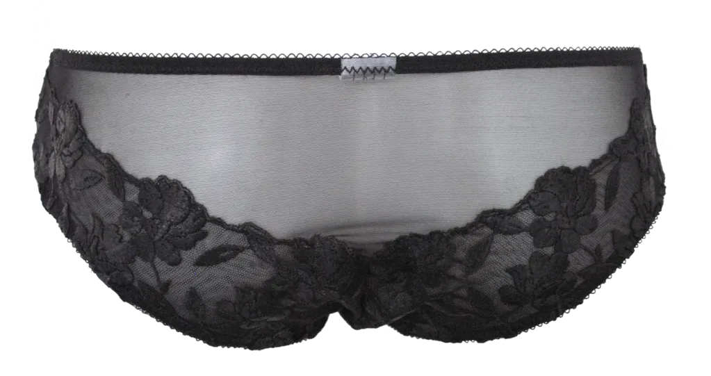 Astrid Black Lace Classic Brief - Last chance to buy!